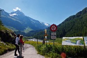 Valle e ghiacciaio del Forno dal Passo del Maloja (Svizzera) il 23 giugno 2016 - FOTOGALLERY